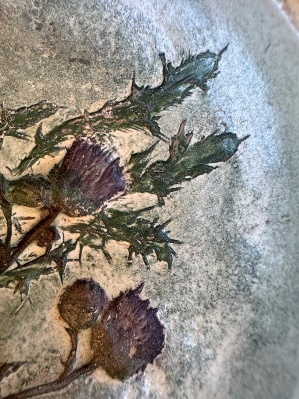Salt Marsh Pottery Handcrafted Botanical Thistle Wall Art Plate or Trinket Bowl - Picture 7 of 8